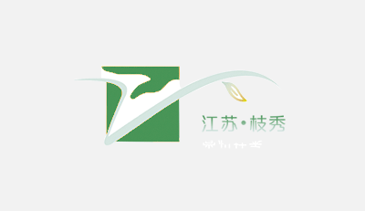 嵌入+綜融 養(yǎng)老新生態(tài) | 枝秀榮獲2024年江蘇省居家社區(qū)養(yǎng)老服務(wù)典型案例